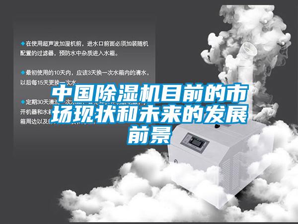 中國除濕機目前的市場現狀和未來的發(fā)展前景