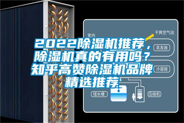 2022除濕機(jī)推薦，除濕機(jī)真的有用嗎？知乎高贊除濕機(jī)品牌精選推薦
