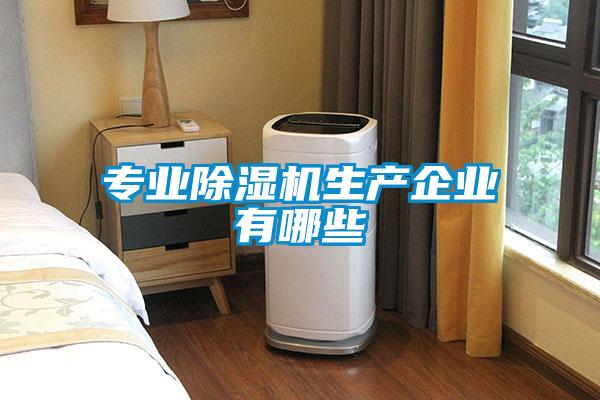 專業(yè)除濕機生產(chǎn)企業(yè)有哪些