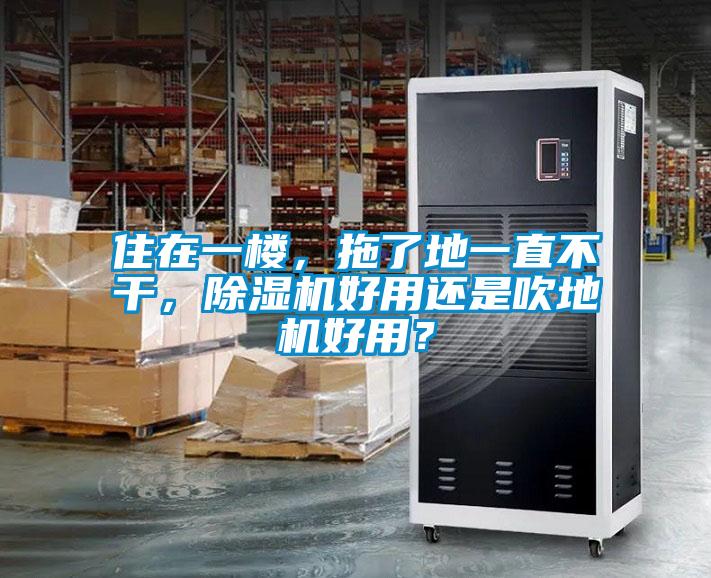 住在一樓，拖了地一直不干，除濕機好用還是吹地機好用？