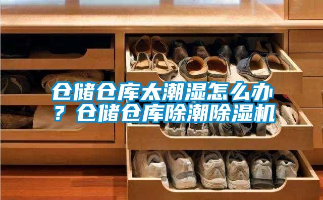 倉(cāng)儲(chǔ)倉(cāng)庫(kù)太潮濕怎么辦？倉(cāng)儲(chǔ)倉(cāng)庫(kù)除潮除濕機(jī)