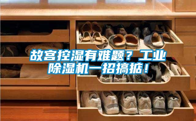 故宮控濕有難題？工業(yè)除濕機(jī)一招搞掂！