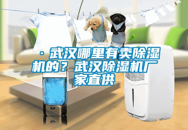 ·武漢哪里有賣除濕機(jī)的？武漢除濕機(jī)廠家直供