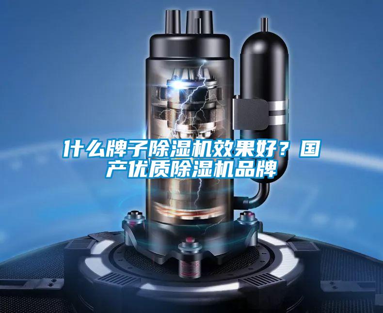 什么牌子除濕機(jī)效果好？國產(chǎn)優(yōu)質(zhì)除濕機(jī)品牌