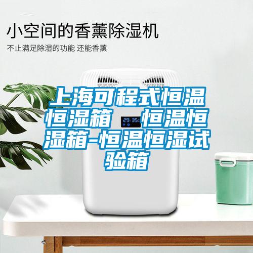 上?？沙淌胶銣睾銤裣? 恒溫恒濕箱-恒溫恒濕試驗(yàn)箱