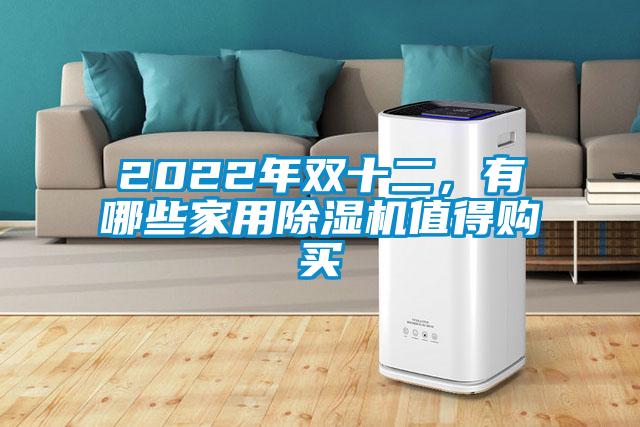 2022年雙十二，有哪些家用除濕機(jī)值得購買