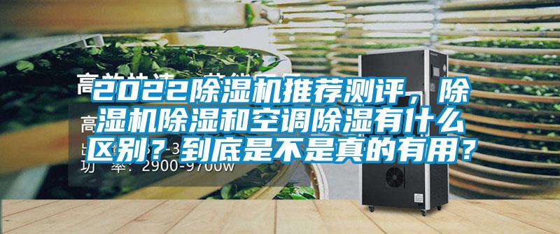 2022除濕機(jī)推薦測(cè)評(píng)，除濕機(jī)除濕和空調(diào)除濕有什么區(qū)別？到底是不是真的有用？
