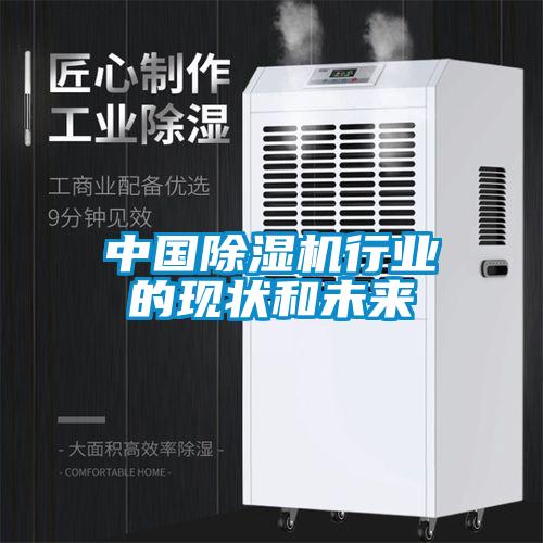 中國除濕機行業(yè)的現狀和未來