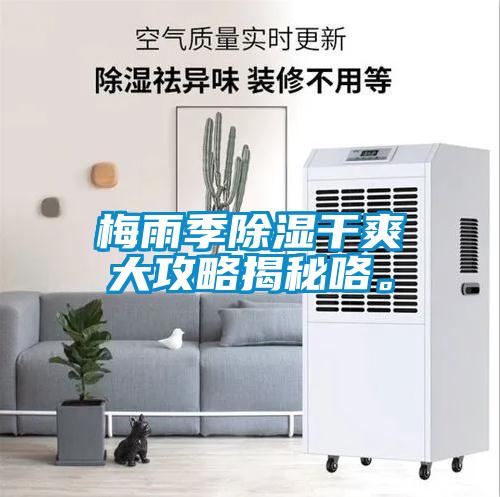 梅雨季除濕干爽大攻略揭秘咯。