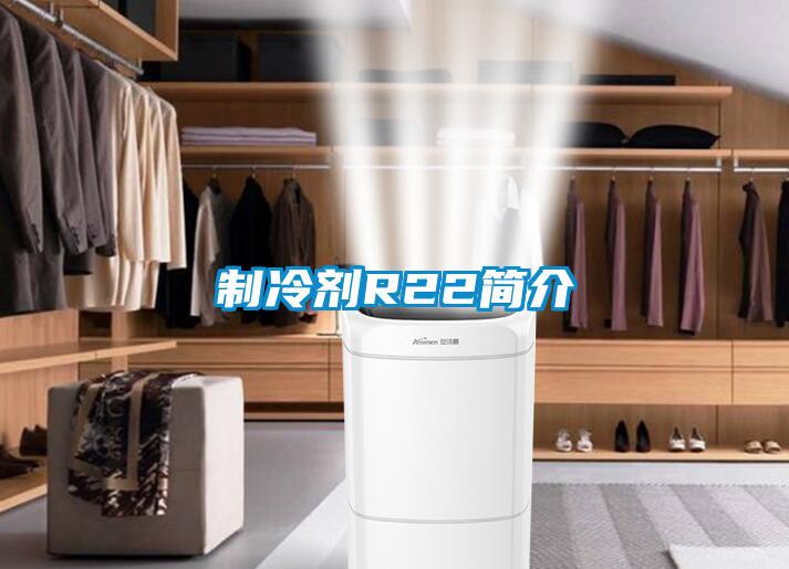 制冷劑R22簡(jiǎn)介