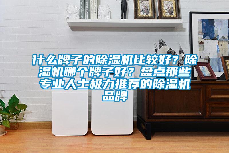 什么牌子的除濕機(jī)比較好？除濕機(jī)哪個(gè)牌子好？盤點(diǎn)那些專業(yè)人士極力推薦的除濕機(jī)品牌