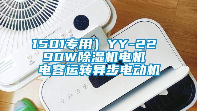 1501專用）YY-22  90W除濕機(jī)電機(jī)  電容運(yùn)轉(zhuǎn)異步電動(dòng)機(jī)