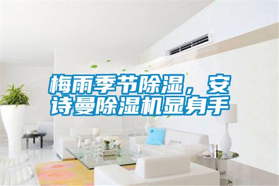 梅雨季節(jié)除濕，安詩(shī)曼除濕機(jī)顯身手