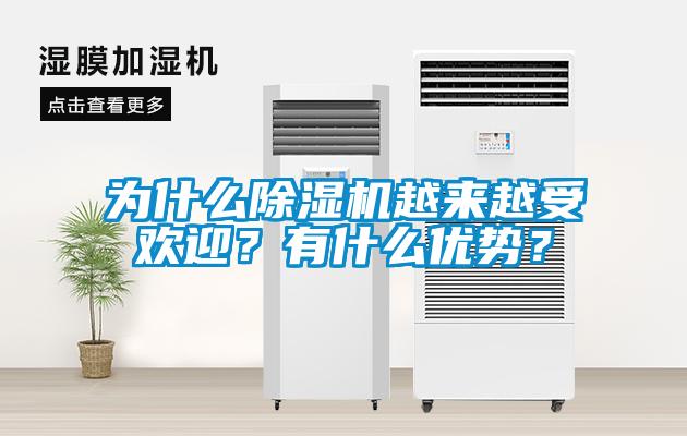 為什么除濕機(jī)越來越受歡迎？有什么優(yōu)勢？