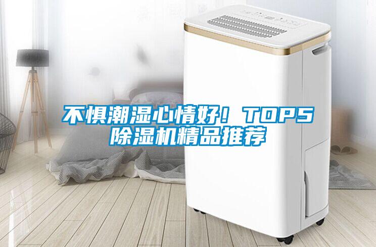 不懼潮濕心情好！TOP5除濕機(jī)精品推薦