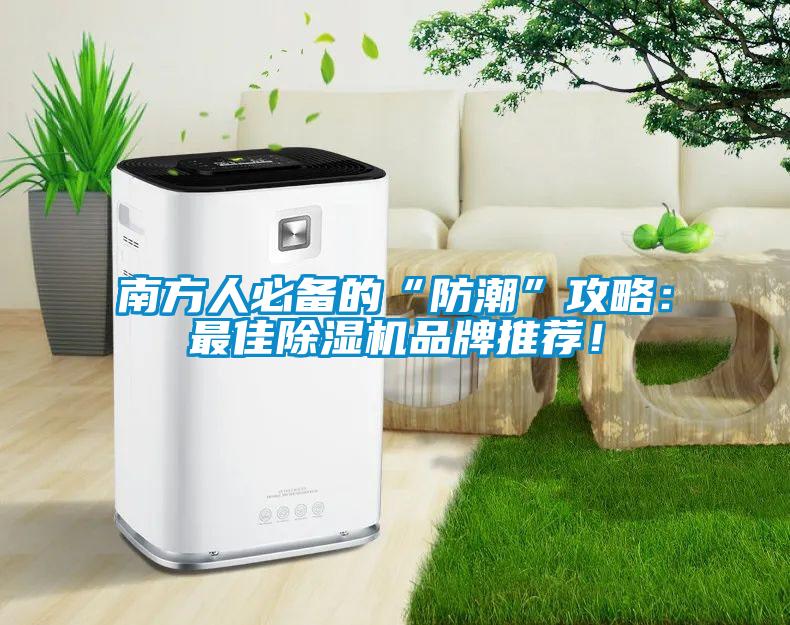 南方人必備的“防潮”攻略：最佳除濕機(jī)品牌推薦！