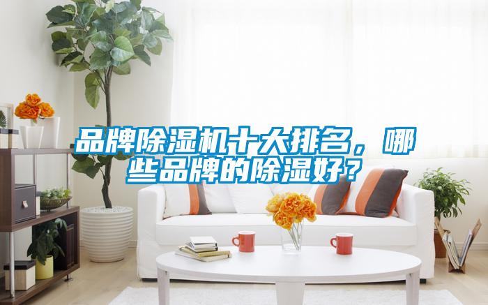 品牌除濕機(jī)十大排名，哪些品牌的除濕好？