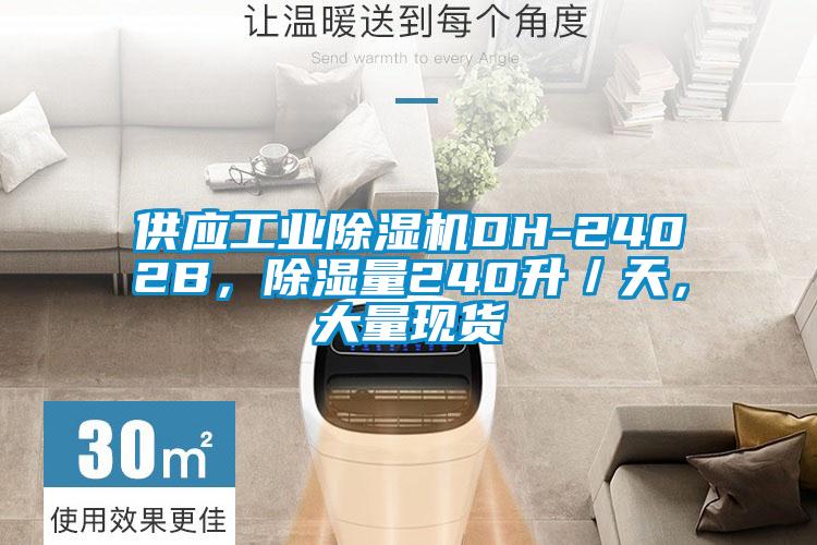 供應(yīng)工業(yè)除濕機(jī)DH-2402B，除濕量240升／天，大量現(xiàn)貨