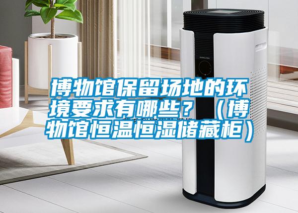 博物館保留場地的環(huán)境要求有哪些？（博物館恒溫恒濕儲藏柜）