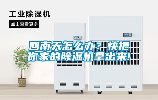 回南天怎么辦？快把你家的除濕機拿出來!