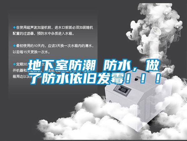 地下室防潮≠防水，做了防水依舊發(fā)霉！??！