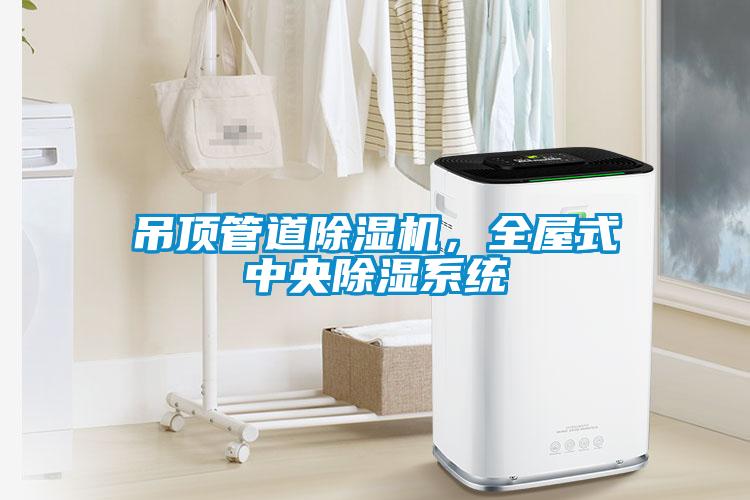吊頂管道除濕機(jī)，全屋式中央除濕系統(tǒng)
