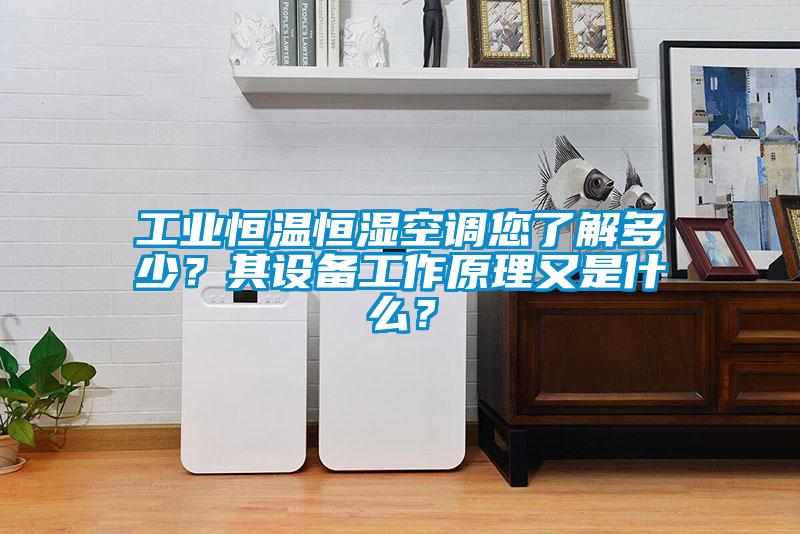 工業(yè)恒溫恒濕空調(diào)您了解多少？其設(shè)備工作原理又是什么？