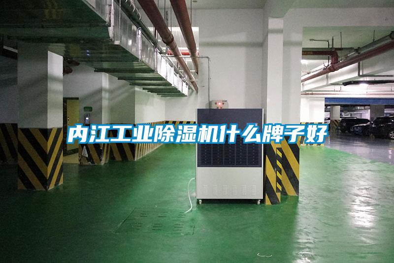 內江工業(yè)除濕機什么牌子好