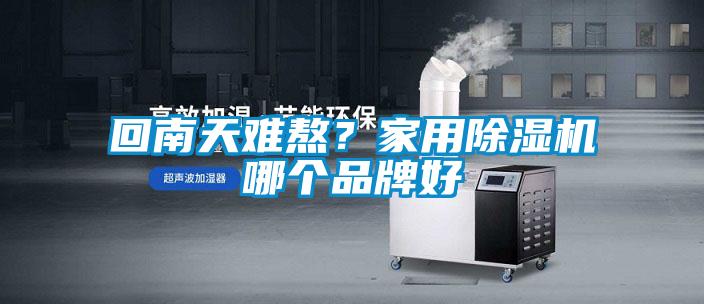 回南天難熬？家用除濕機(jī)哪個(gè)品牌好