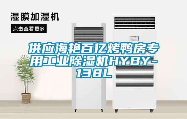 供應(yīng)海艷百億烤鴨房專用工業(yè)除濕機HYBY-138L