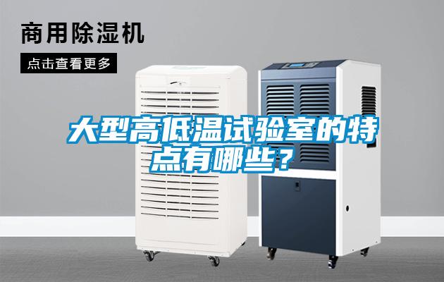 大型高低溫試驗(yàn)室的特點(diǎn)有哪些？