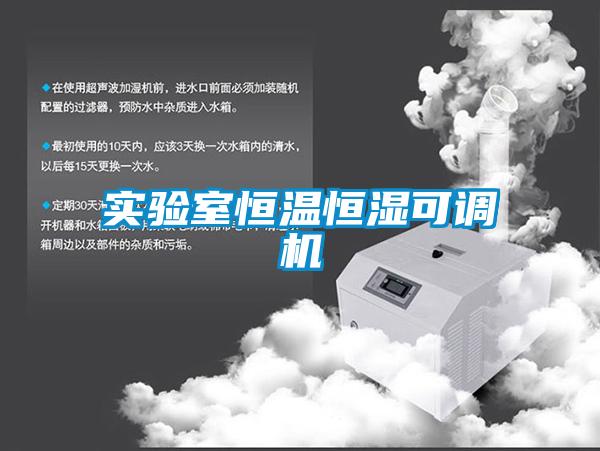 實(shí)驗(yàn)室恒溫恒濕可調(diào)機(jī)