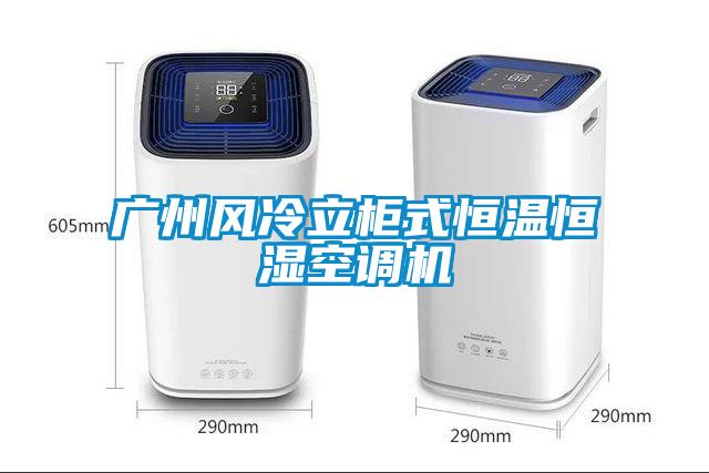 廣州風(fēng)冷立柜式恒溫恒濕空調(diào)機(jī)