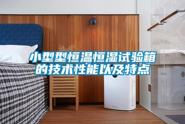 小型型恒溫恒濕試驗(yàn)箱的技術(shù)性能以及特點(diǎn)