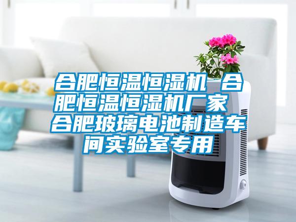 合肥恒溫恒濕機(jī) 合肥恒溫恒濕機(jī)廠家 合肥玻璃電池制造車(chē)間實(shí)驗(yàn)室專(zhuān)用