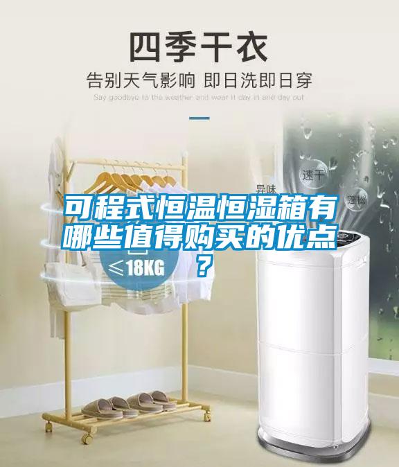 可程式恒溫恒濕箱有哪些值得購(gòu)買的優(yōu)點(diǎn)？