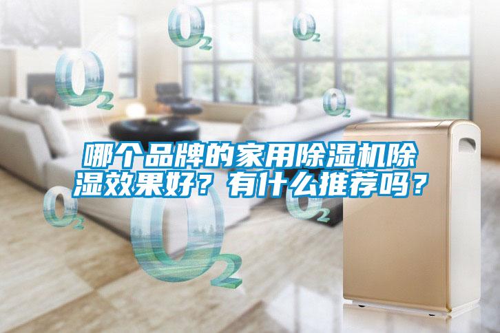 哪個品牌的家用除濕機除濕效果好？有什么推薦嗎？