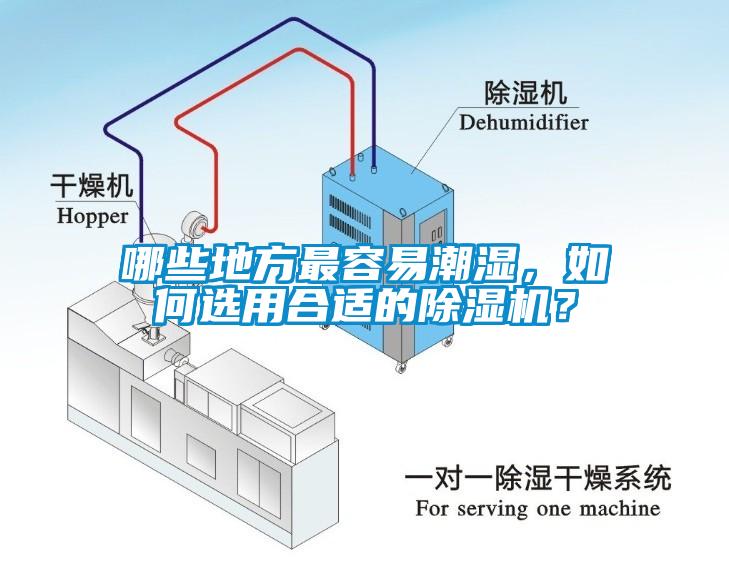 哪些地方最容易潮濕，如何選用合適的除濕機？