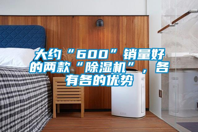 大約“600”銷量好的兩款“除濕機(jī)”，各有各的優(yōu)勢