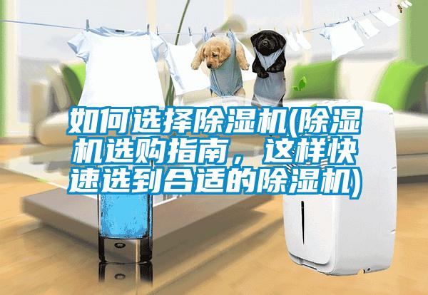 如何選擇除濕機(除濕機選購指南，這樣快速選到合適的除濕機)