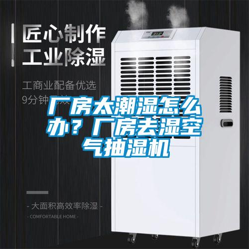 廠房太潮濕怎么辦？廠房去濕空氣抽濕機