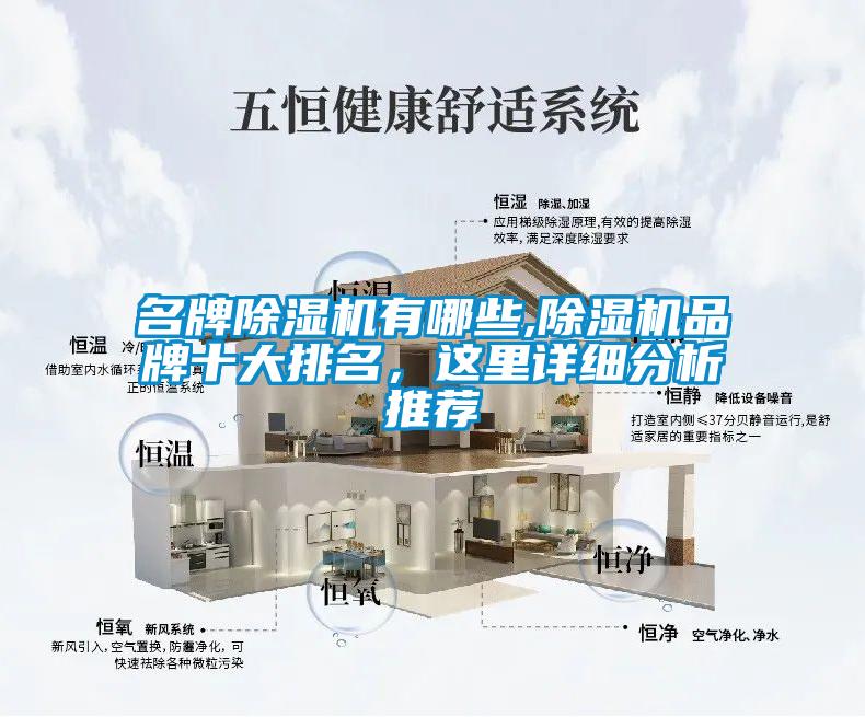 名牌除濕機(jī)有哪些,除濕機(jī)品牌十大排名，這里詳細(xì)分析推薦
