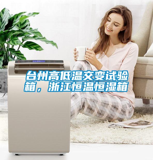 臺州高低溫交變試驗(yàn)箱，浙江恒溫恒濕箱
