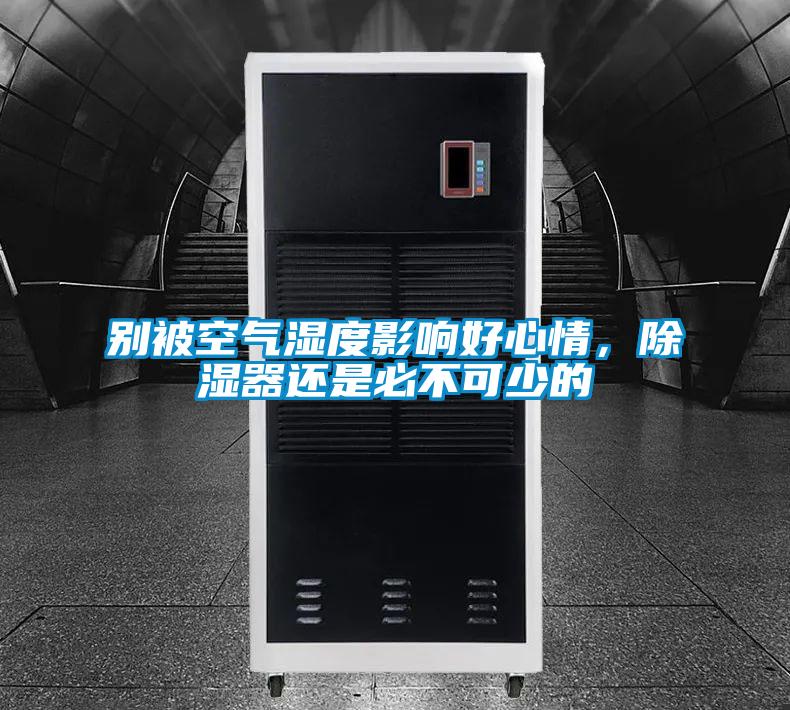 別被空氣濕度影響好心情，除濕器還是必不可少的