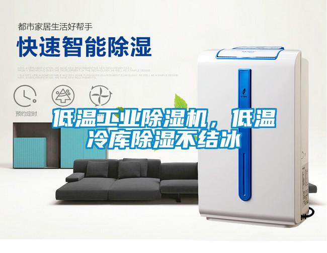 低溫工業(yè)除濕機，低溫冷庫除濕不結(jié)冰