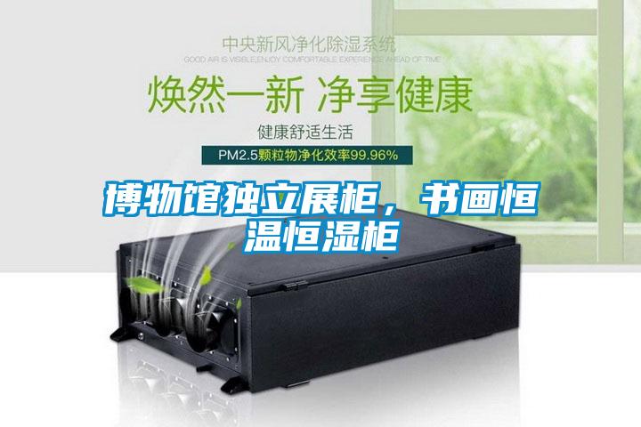 博物館獨(dú)立展柜，書畫恒溫恒濕柜