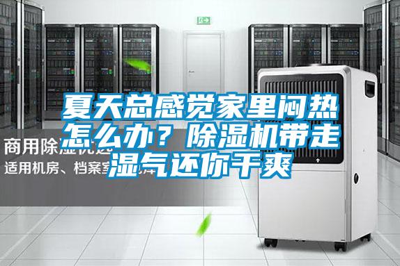 夏天總感覺(jué)家里悶熱怎么辦？除濕機(jī)帶走濕氣還你干爽