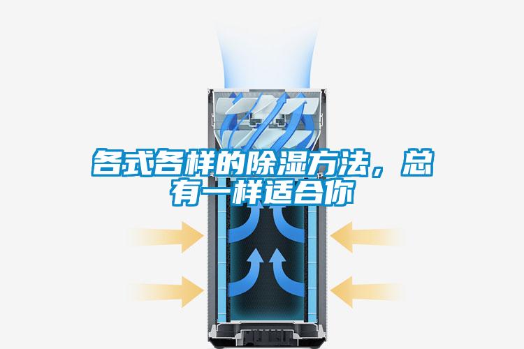 各式各樣的除濕方法，總有一樣適合你