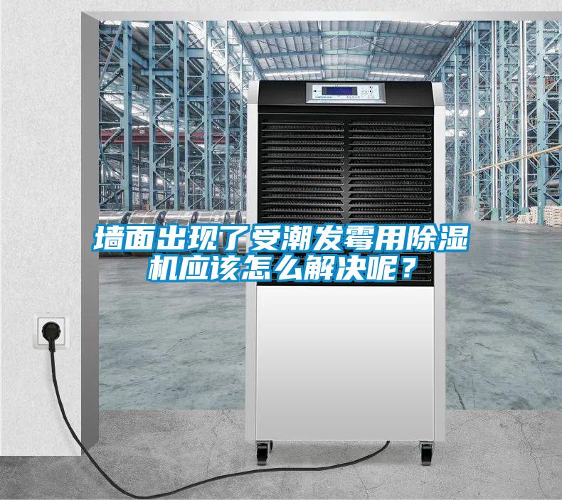 墻面出現(xiàn)了受潮發(fā)霉用除濕機(jī)應(yīng)該怎么解決呢？