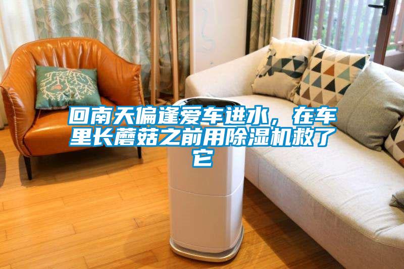 回南天偏逢愛(ài)車進(jìn)水，在車?yán)镩L(zhǎng)蘑菇之前用除濕機(jī)救了它